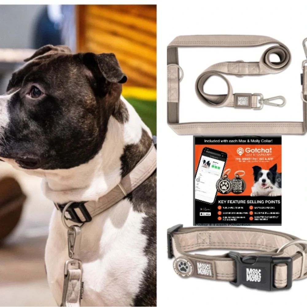 Max & Molly Leash (S) Matrix 2.0 Sand & GOTCHA! Smart ID Collar (XS)